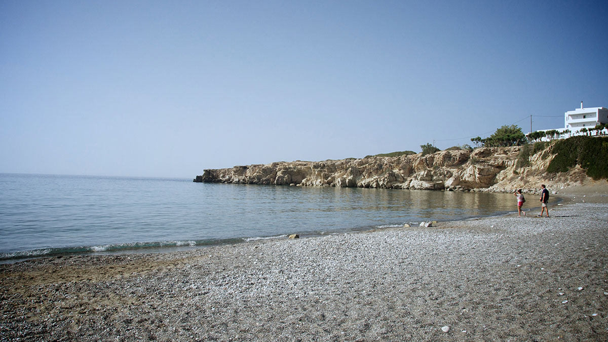 Avra Palm - NR